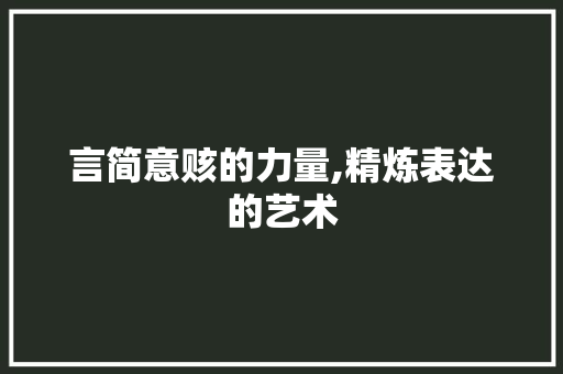 言简意赅的力量,精炼表达的艺术