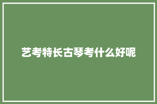 艺考特长古琴考什么好呢