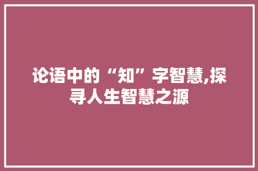 论语中的“知”字智慧,探寻人生智慧之源