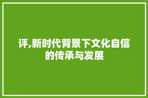 评,新时代背景下文化自信的传承与发展