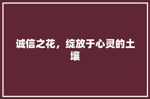诚信之花，绽放于心灵的土壤