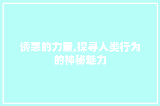 诱惑的力量,探寻人类行为的神秘魅力