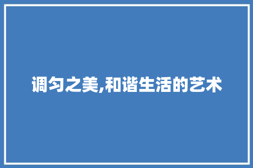 调匀之美,和谐生活的艺术
