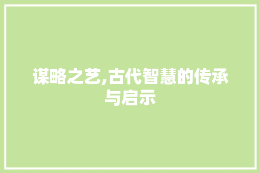 谋略之艺,古代智慧的传承与启示