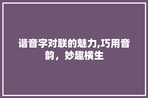 谐音字对联的魅力,巧用音韵，妙趣横生