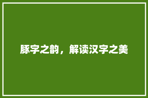 豚字之韵，解读汉字之美