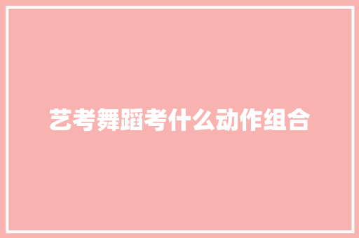 艺考舞蹈考什么动作组合