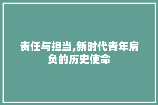 责任与担当,新时代青年肩负的历史使命