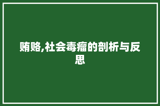 贿赂,社会毒瘤的剖析与反思