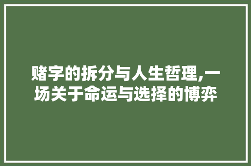 赌字的拆分与人生哲理,一场关于命运与选择的博弈