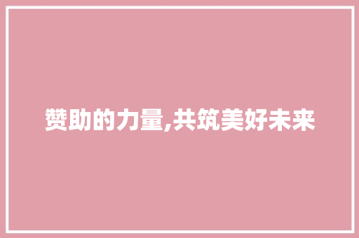 赞助的力量,共筑美好未来