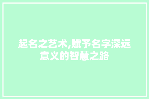 起名之艺术,赋予名字深远意义的智慧之路