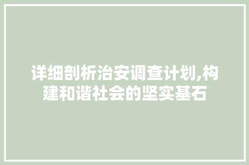 详细剖析治安调查计划,构建和谐社会的坚实基石