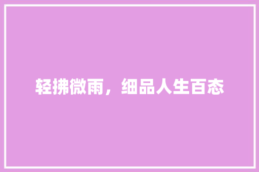 轻拂微雨，细品人生百态