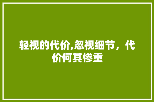 轻视的代价,忽视细节，代价何其惨重