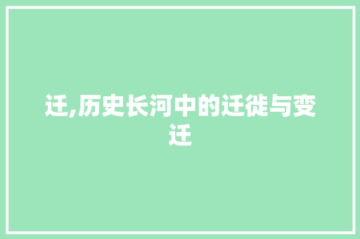 迁,历史长河中的迁徙与变迁