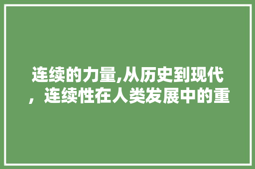 连续的力量,从历史到现代，连续性在人类发展中的重要作用