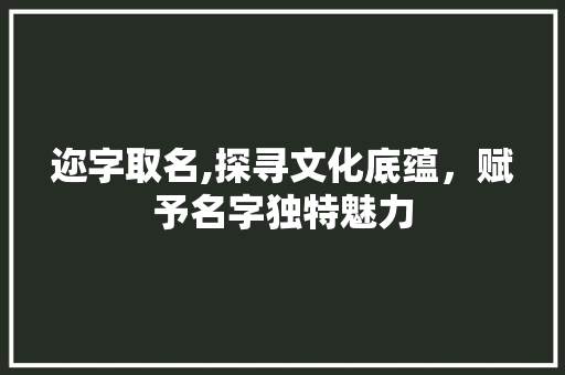 迩字取名,探寻文化底蕴，赋予名字独特魅力