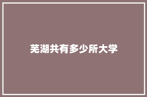 芜湖共有多少所大学