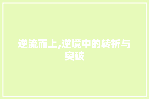逆流而上,逆境中的转折与突破