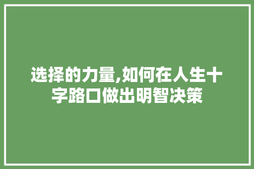 选择的力量,如何在人生十字路口做出明智决策
