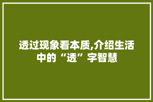 透过现象看本质,介绍生活中的“透”字智慧