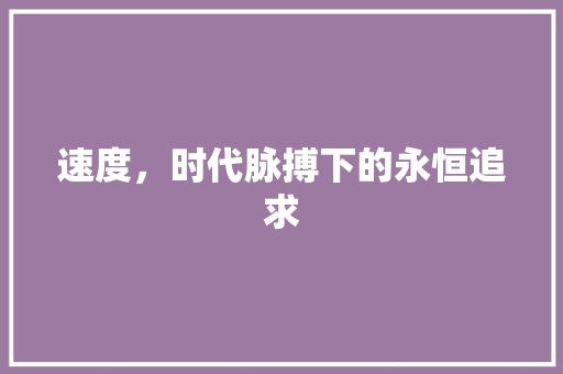 速度，时代脉搏下的永恒追求