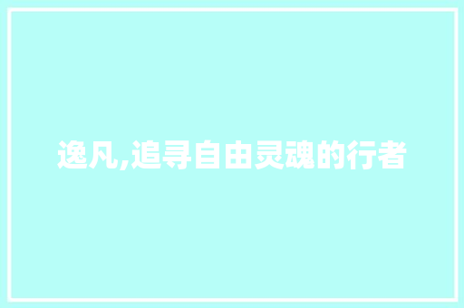 逸凡,追寻自由灵魂的行者