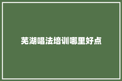 芜湖唱法培训哪里好点