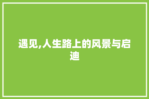 遇见,人生路上的风景与启迪
