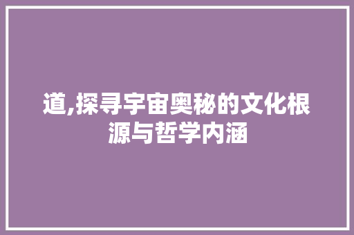 道,探寻宇宙奥秘的文化根源与哲学内涵