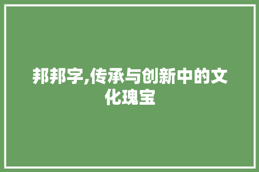 邦邦字,传承与创新中的文化瑰宝