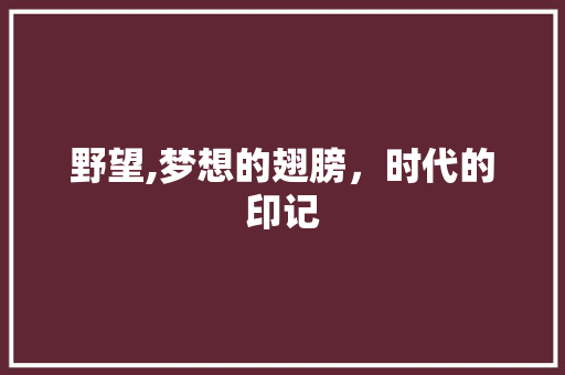 野望,梦想的翅膀，时代的印记