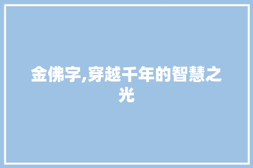 金佛字,穿越千年的智慧之光