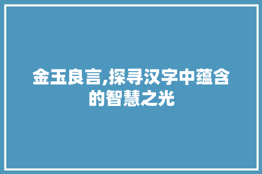 金玉良言,探寻汉字中蕴含的智慧之光