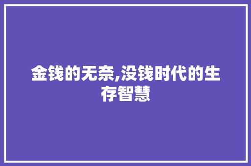 金钱的无奈,没钱时代的生存智慧