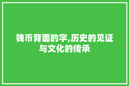 钱币背面的字,历史的见证与文化的传承 优秀范文