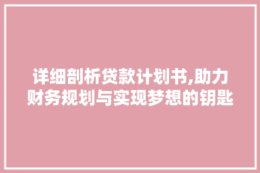 详细剖析贷款计划书,助力财务规划与实现梦想的钥匙