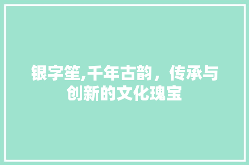 银字笙,千年古韵，传承与创新的文化瑰宝
