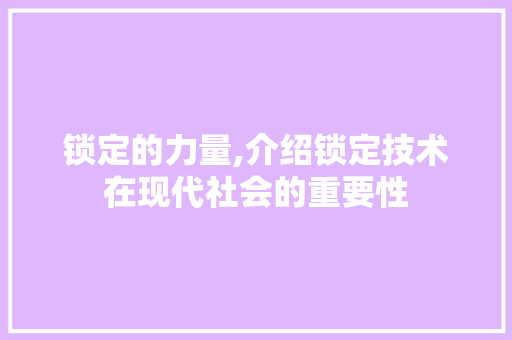 锁定的力量,介绍锁定技术在现代社会的重要性 职场应用