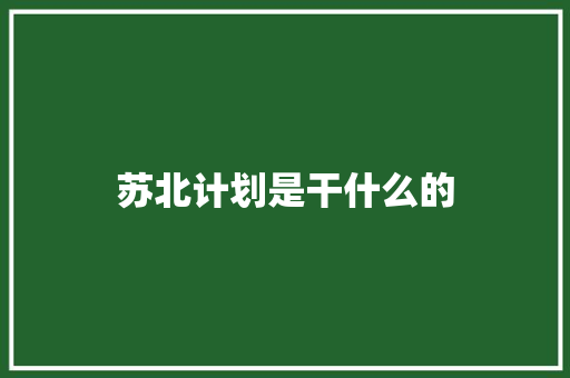 苏北计划是干什么的