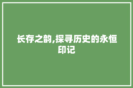 长存之韵,探寻历史的永恒印记