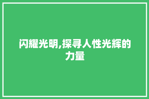 闪耀光明,探寻人性光辉的力量