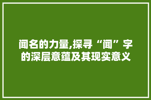 闻名的力量,探寻“闻”字的深层意蕴及其现实意义