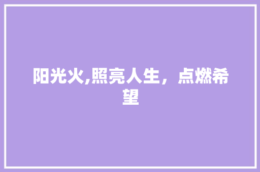 阳光火,照亮人生，点燃希望 商业计划书范文