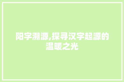 阳字溯源,探寻汉字起源的温暖之光