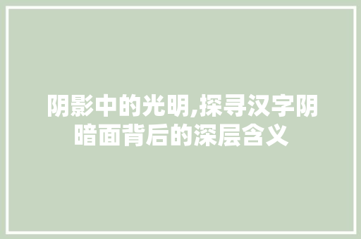 阴影中的光明,探寻汉字阴暗面背后的深层含义