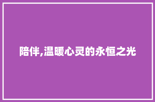 陪伴,温暖心灵的永恒之光
