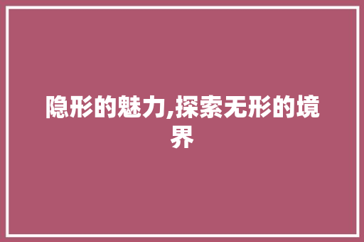 隐形的魅力,探索无形的境界