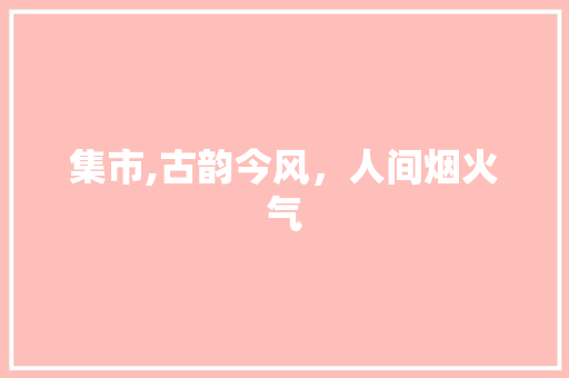 集市,古韵今风，人间烟火气